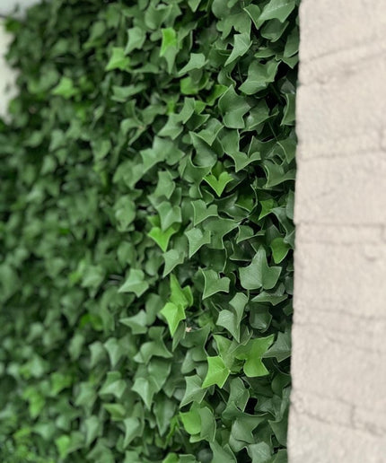 LeopoldFlora Kunst Hedera Klimop mat 25x25 cm UV