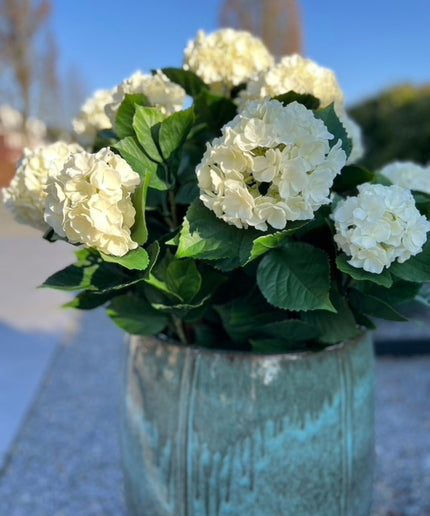 LeopoldFlora Kunst Hortenisa wit XL 80cm UV