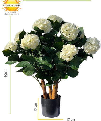 LeopoldFlora Kunst Hortenisa wit XL 80cm UV