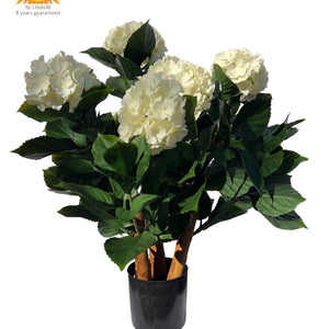 LeopoldFlora Kunst Hortensia wit L 65cm UV
