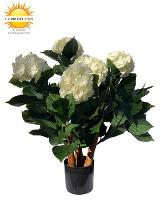 LeopoldFlora Kunst Hortensia wit L 65cm UV