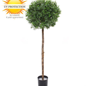 LeopoldFlora Kunst Hulst Ilex op stam 135 cm UV