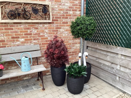 LeopoldFlora Kunst Hulst Ilex op stam 135 cm UV