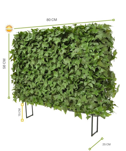LeopoldFlora Kunst klimop haag 80x25x56 cm UV
