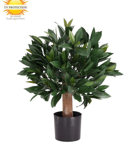 LeopoldFlora Kunst Laurier bol 45cm UV
