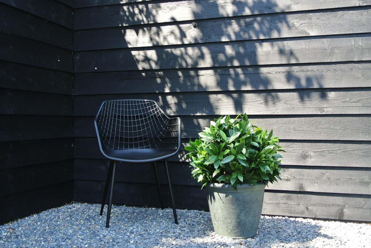 LeopoldFlora Kunst laurier bol 55cm UV