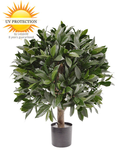 LeopoldFlora Kunst laurier bol 55cm UV
