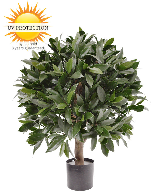 LeopoldFlora Kunst laurier bol 55cm UV