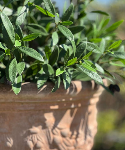 LeopoldFlora Kunst Olijfboom  50cm UV