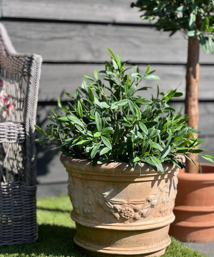 LeopoldFlora Kunst Olijfboom  50cm UV