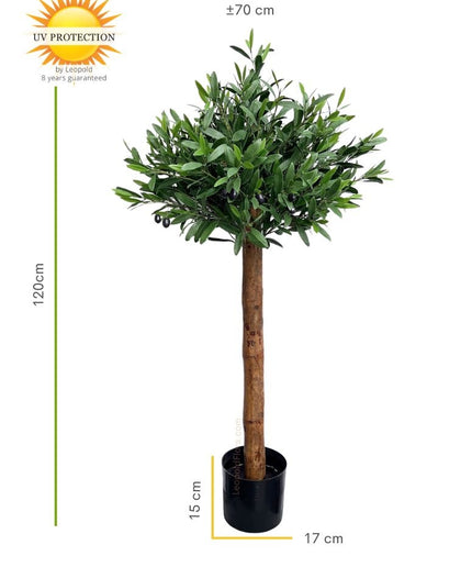 LeopoldFlora Kunst Olijfboom op stam 120cm UV