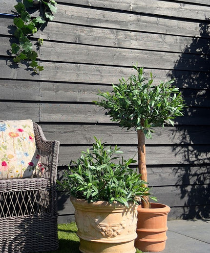 LeopoldFlora Kunst Olijfboom op stam 120cm UV