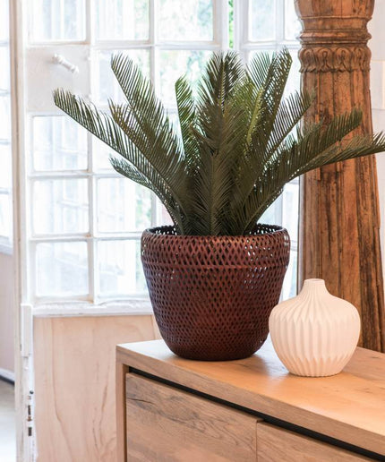 LeopoldFlora Kunst Palmboom Cycas 60 UV