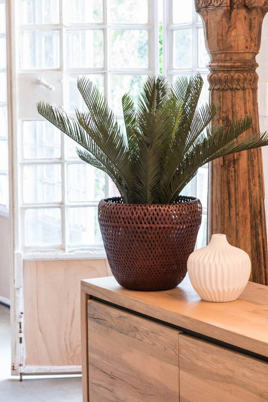 LeopoldFlora Kunst Palmboom Cycas 60 UV