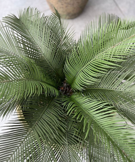 LeopoldFlora Kunst Palmboom Cycas 60 UV