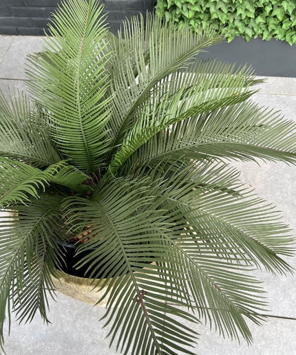 LeopoldFlora Kunst Palmboom Cycas 60 UV