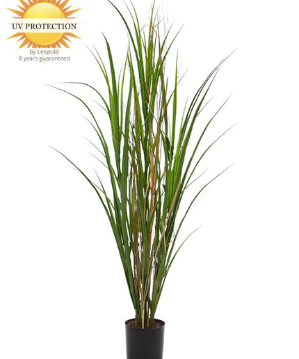 LeopoldFlora Kunst Rietgras 120 cm UV