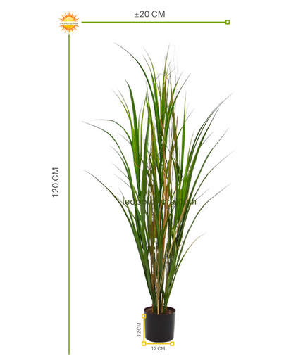 LeopoldFlora Kunst Rietgras 120 cm UV