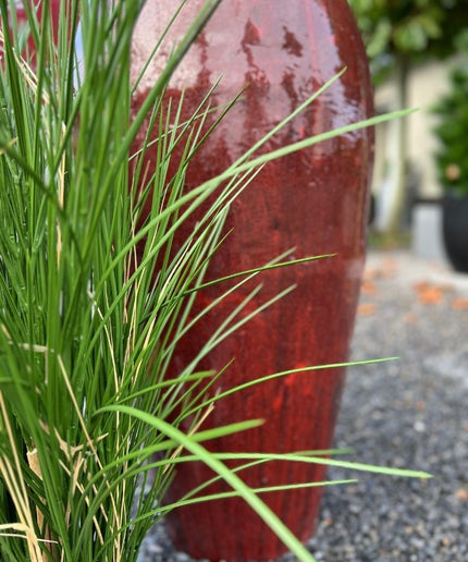 LeopoldFlora Kunst siergras plant  80 cm UV