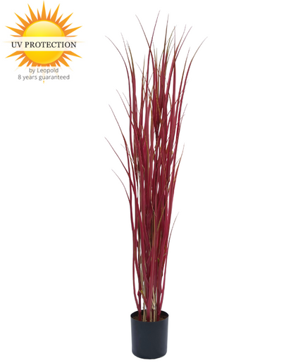 LeopoldFlora Kunst siergras rood 120cm uv