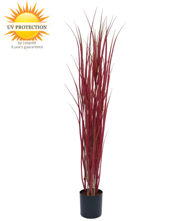 LeopoldFlora Kunst siergras rood 120cm uv
