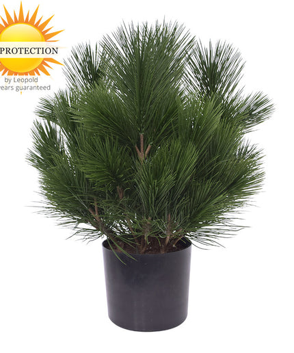 LeopoldFlora Kunst struik Pinus 45 cm   UV