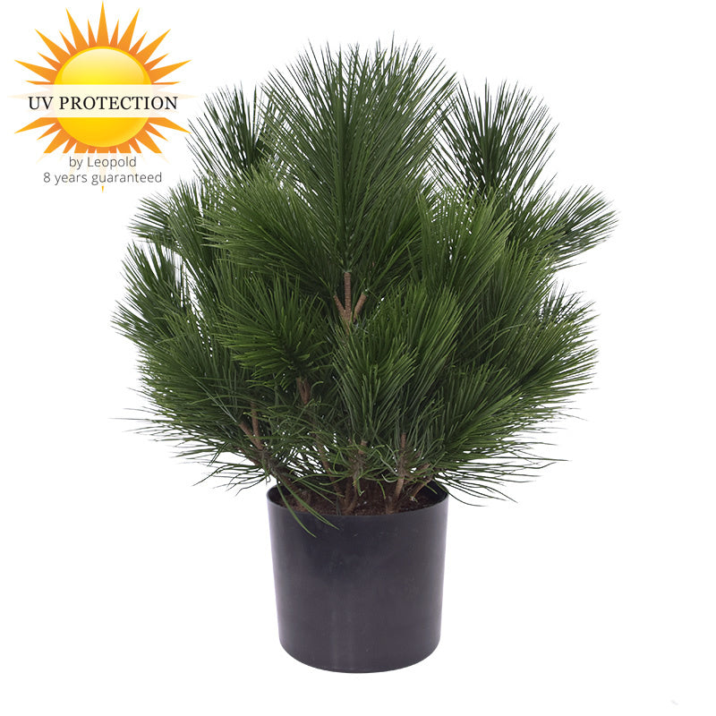 LeopoldFlora Kunst struik Pinus 45 cm   UV