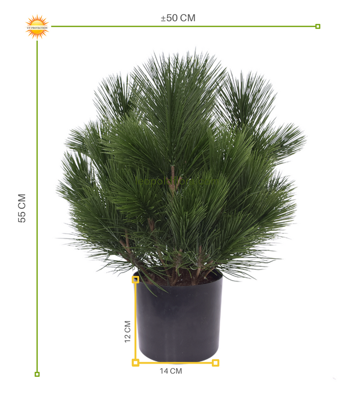 LeopoldFlora Kunst struik Pinus 45 cm   UV