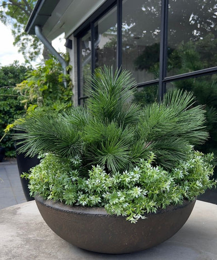 LeopoldFlora Kunst struik Pinus 45 cm   UV