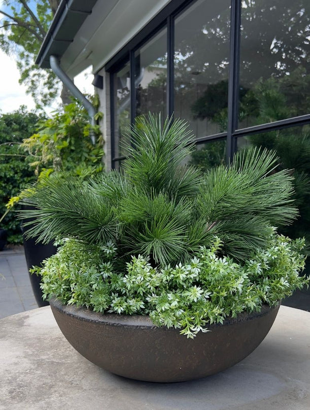 LeopoldFlora Kunst struik Pinus 45 cm   UV