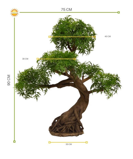 LeopoldFlora Kunstbonsai  Ming Aralia 90 cm UV