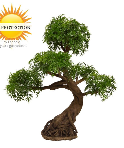 LeopoldFlora Kunstbonsai  Ming Aralia 90 cm UV