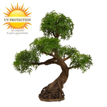 LeopoldFlora Kunstbonsai  Ming Aralia 90 cm UV