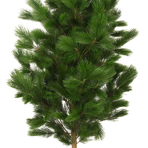 LeopoldFlora Kunstboom Pinus 160 UV