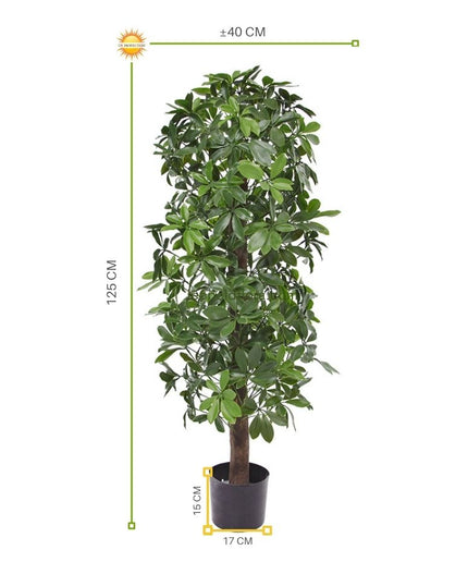 LeopoldFlora Kunstboom Schefflera kolom 120cm  UV