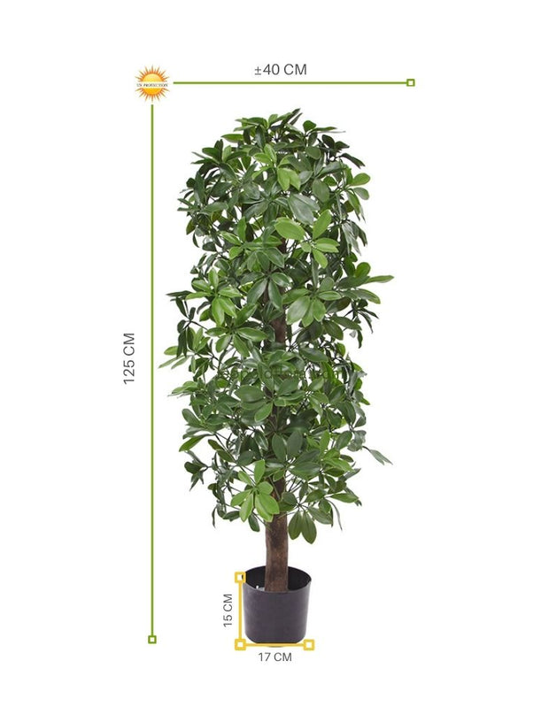 LeopoldFlora Kunstboom Schefflera kolom 120cm  UV