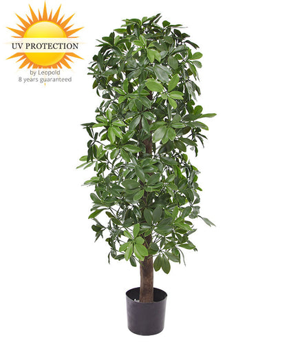 LeopoldFlora Kunstboom Schefflera kolom 120cm  UV