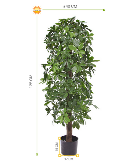 LeopoldFlora Kunstboom Schefflera kolom 120cm  UV