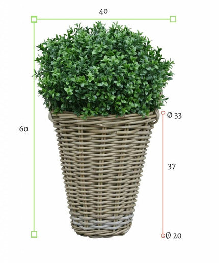 LeopoldFlora Kunstbuxus bol 50 in rotan mand
