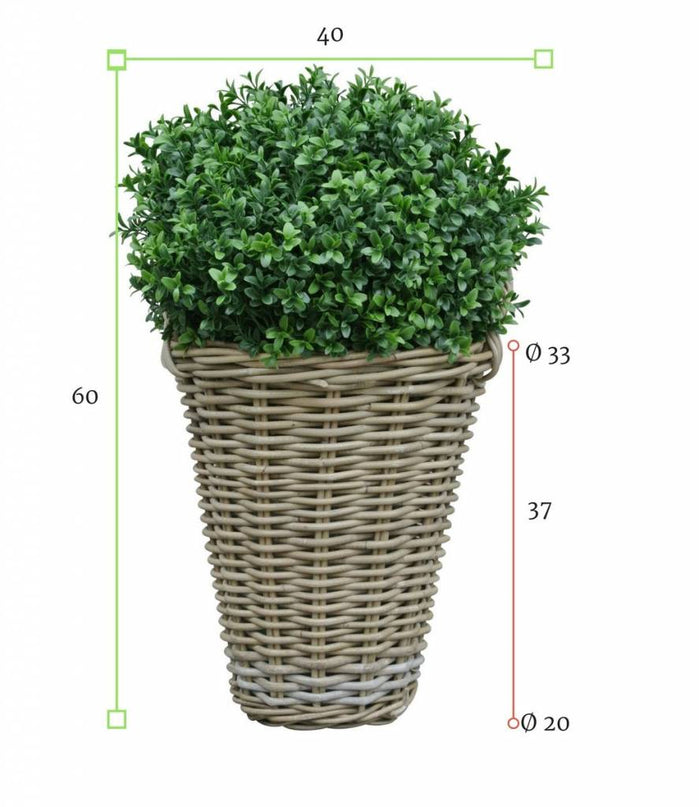 LeopoldFlora Kunstbuxus bol 50 in rotan mand