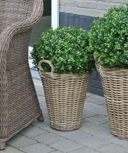 LeopoldFlora Kunstbuxus bol 50 in rotan mand