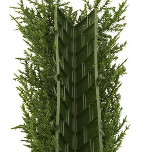 LeopoldFlora Kunsthaag Conifeer hoek UV