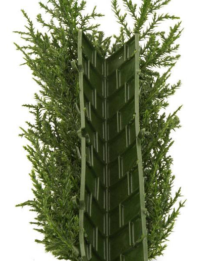 LeopoldFlora Kunsthaag Conifeer hoek UV