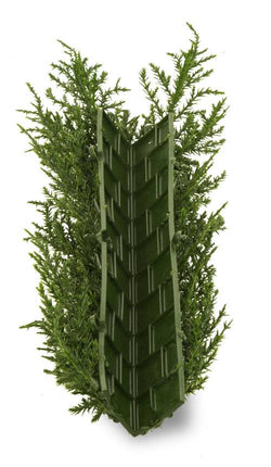 LeopoldFlora Kunsthaag Conifeer hoek UV