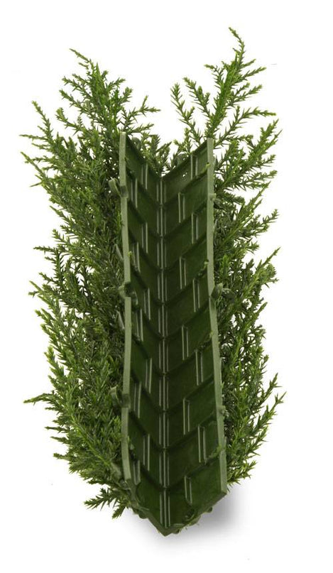 LeopoldFlora Kunsthaag Conifeer hoek UV