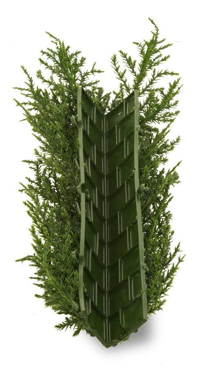 LeopoldFlora Kunsthaag Conifeer hoek UV