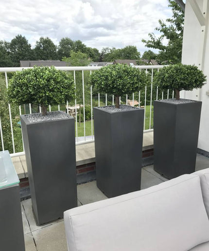 LeopoldFlora Kunstplant buxus 1/2 bol 65 cm UV