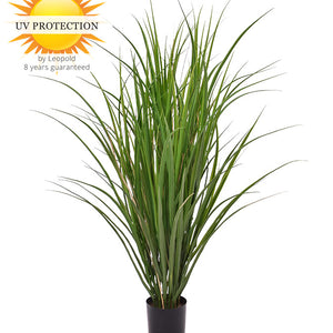 LeopoldFlora Kunstplant Rietgras 100 cm UV