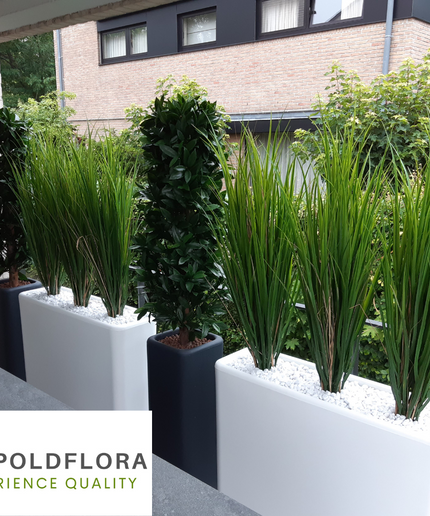 LeopoldFlora Kunstplant Rietgras 100 cm UV