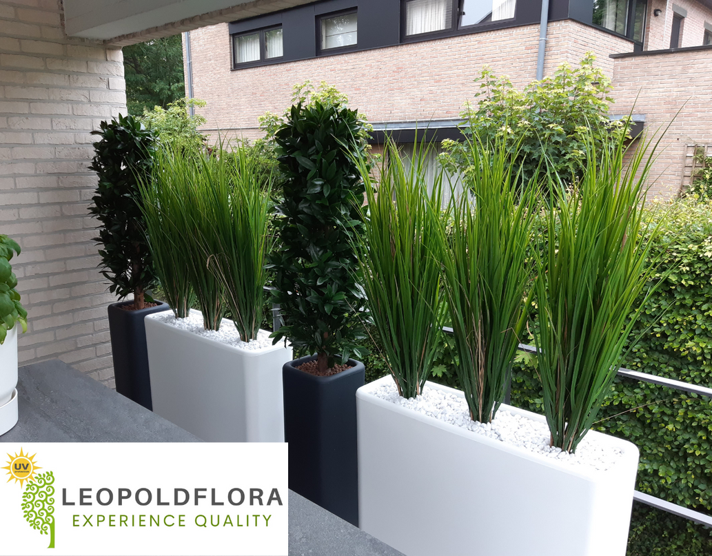 LeopoldFlora Kunstplant Rietgras 100 cm UV